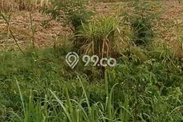 Dijual Tanah Area Premium Kawasan Kemlagi, Luas 30000m2m², Prospek Bagus Dijual Tanah Area Premium Kawasan Kemlagi, Luas 30000m2m², Prospek Bagus
