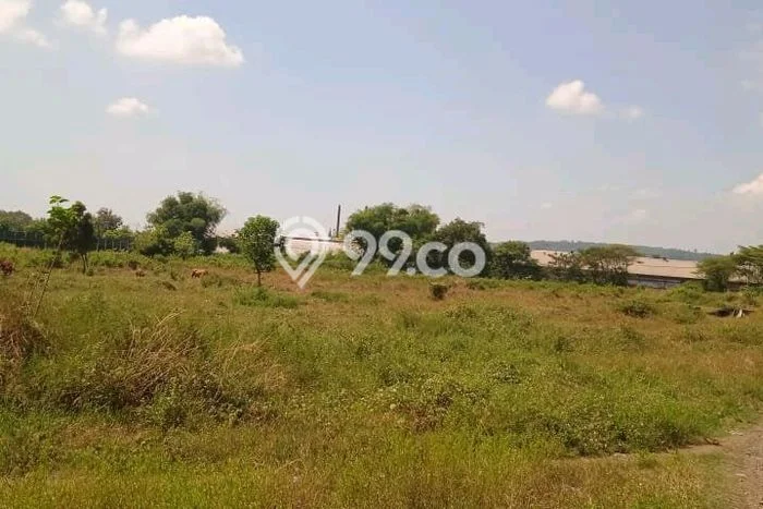 Untuk Disewa Gudang di Ngoro Mojokerto LT 25000m2, LB 3000m2 Untuk Disewa Gudang di Ngoro Mojokerto LT 25000m2, LB 3000m2