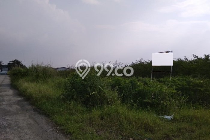 HARGA MENARIK! Tanah di Karawang Timur, Luas 31495m², Lingkungan Nyaman, Bebas Longsor HARGA MENARIK! Tanah di Karawang Timur, Luas 31495m², Lingkungan Nyaman, Bebas Longsor