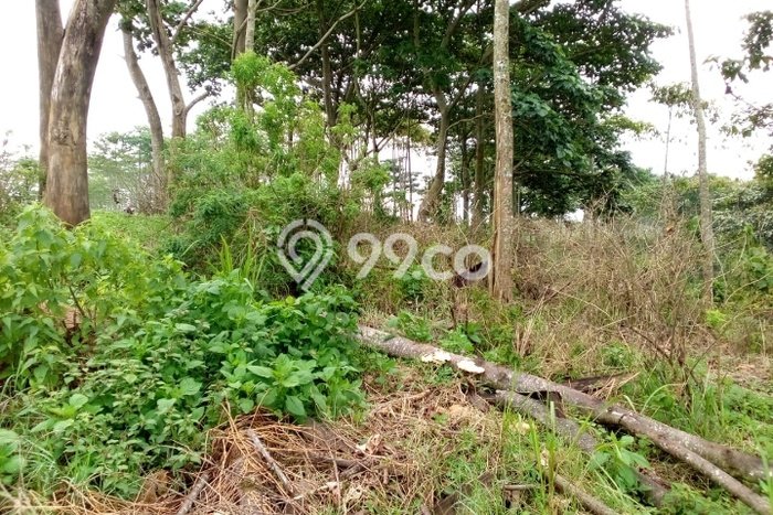 Tanah untuk Dijual di Lemahsugih Majalengka Luas 370000m2 Tanah untuk Dijual di Lemahsugih Majalengka Luas 370000m2