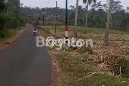 Tanah Kavling untuk Dijual di Kepanjen Malang 28180m2 Tanah Kavling untuk Dijual di Kepanjen Malang 28180m2