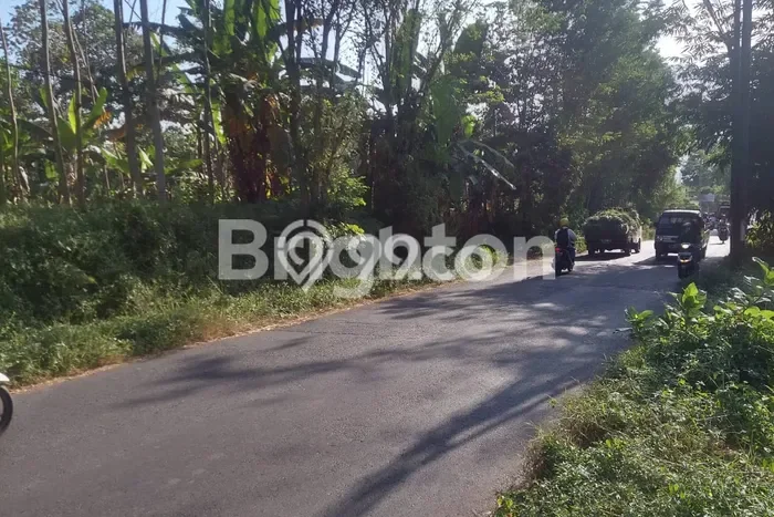 Kavling Tanah untuk Dijual di Tlogowaru, Malang, Luas 6000m2 Kavling Tanah untuk Dijual di Tlogowaru, Malang, Luas 6000m2