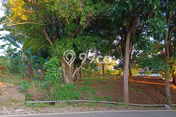 Kavling Tanah Dijual di Cimahi Utara Cimahi Spesifikasi 2650m2 Kavling Tanah Dijual di Cimahi Utara Cimahi Spesifikasi 2650m2