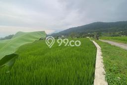 Untuk Dijual Tanah di Pacet Mojokerto Luas 1665m2 SHM Untuk Dijual Tanah di Pacet Mojokerto Luas 1665m2 SHM