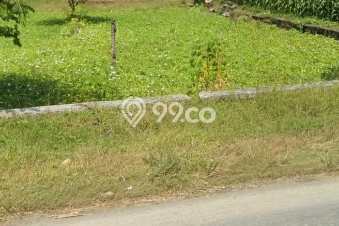 Lahan untuk Dijual Lokasi Balongpanggang, Gresik Luas 347m2 SHM Lahan untuk Dijual Lokasi Balongpanggang, Gresik Luas 347m2 SHM