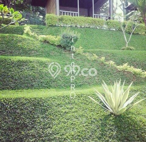 Sewa Rumah Harga Terjangkau di Dago Pakar Bandung Punya 4 Kamar Tidur Sewa Rumah Harga Terjangkau di Dago Pakar Bandung Punya 4 Kamar Tidur