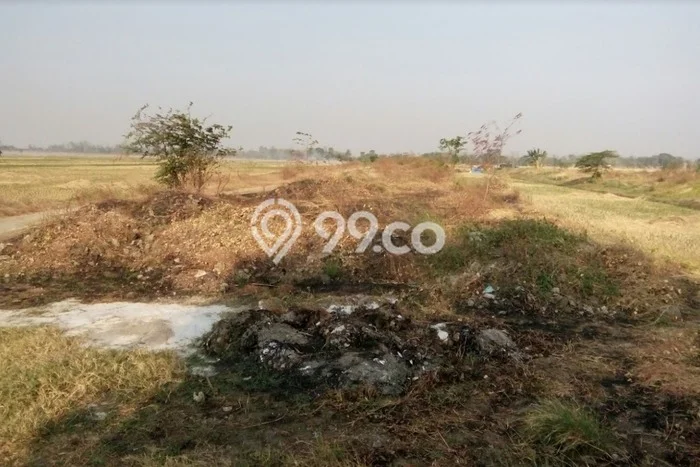 Untuk Dijual Tanah di Kertajati Majalengka Luas 7117m2 SHM Untuk Dijual Tanah di Kertajati Majalengka Luas 7117m2 SHM
