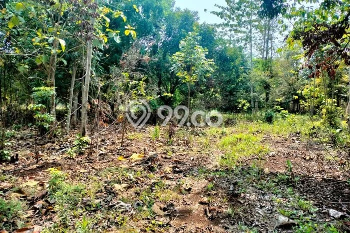 Lahan Kosong Dijual di Subang dengan Area 4600m2 Lahan Kosong Dijual di Subang dengan Area 4600m2