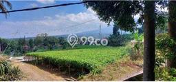 Kavling Tanah Dijual di Cianjur Cianjur Spesifikasi 100000m2 Kavling Tanah Dijual di Cianjur Cianjur Spesifikasi 100000m2