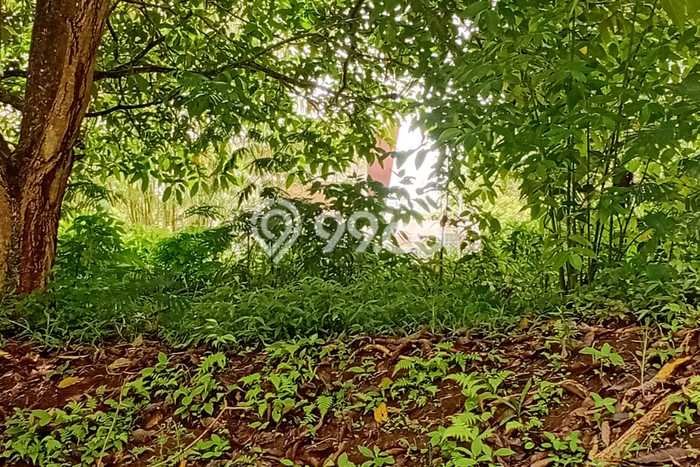Kavling Tanah Dijual di Lembang, Bandung Barat, Luas 831m2 Area Strategis Kavling Tanah Dijual di Lembang, Bandung Barat, Luas 831m2 Area Strategis
