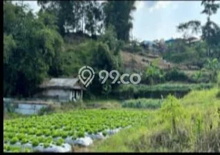 Tanah untuk Dijual Lokasi Lembang, Bandung Barat Luas 19454m2 SHM Tanah untuk Dijual Lokasi Lembang, Bandung Barat Luas 19454m2 SHM