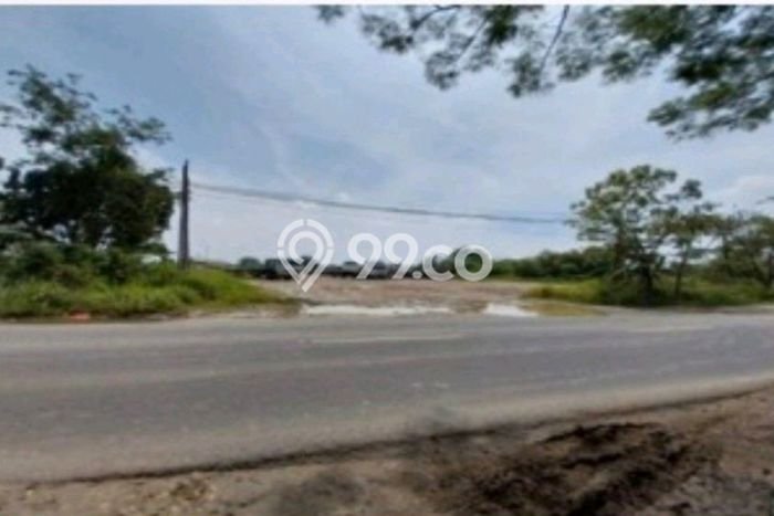 Tanah Strategis Dijual di Palimanan Cirebon 15875m2 Tanah Strategis Dijual di Palimanan Cirebon 15875m2