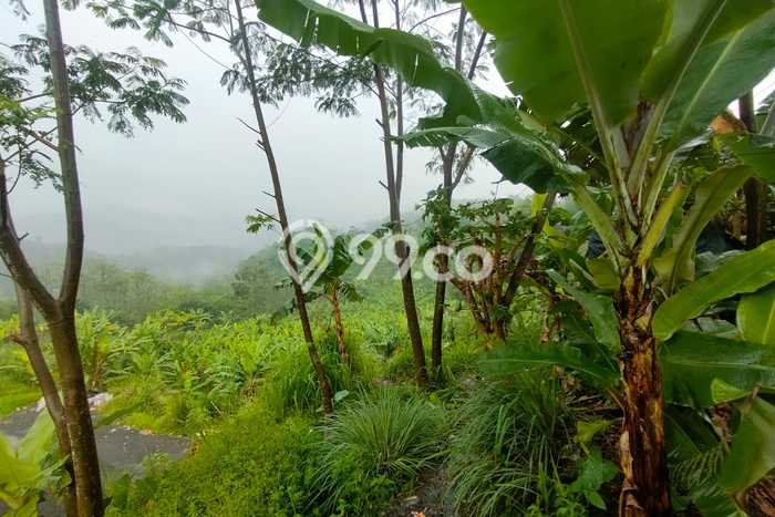 Tanah Dijual Lokasi Padalarang, Bandung Barat dengan Luas Tanah 50000m2 dan Status SHM Tanah Dijual Lokasi Padalarang, Bandung Barat dengan Luas Tanah 50000m2 dan Status SHM