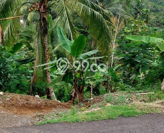 Tanah Dijual Area Strategis di Pangandaran Ciamis 700m2 Tanah Dijual Area Strategis di Pangandaran Ciamis 700m2
