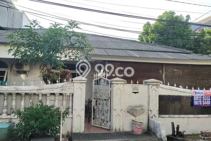 Kelapa Kopyor Kelapa Kopyor