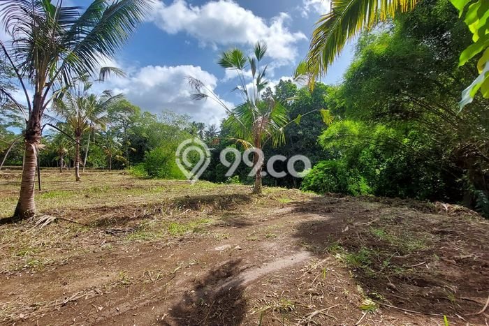 Tanah Dijual Lokasi Payangan, Gianyar Luas 1000m2 Legalitas Aman Tanah Dijual Lokasi Payangan, Gianyar Luas 1000m2 Legalitas Aman