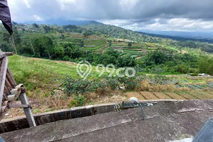 Tanah di Baturiti, Luas 30000m², Lokasi Premium Tanah di Baturiti, Luas 30000m², Lokasi Premium