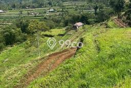 Tanah Kosong Dijual di Tabanan dengan Area 22000m2 Tanah Kosong Dijual di Tabanan dengan Area 22000m2
