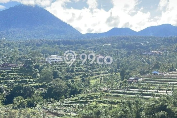 Tanah Kosong Dijual di Tabanan dengan Area 22000m2 Tanah Kosong Dijual di Tabanan dengan Area 22000m2