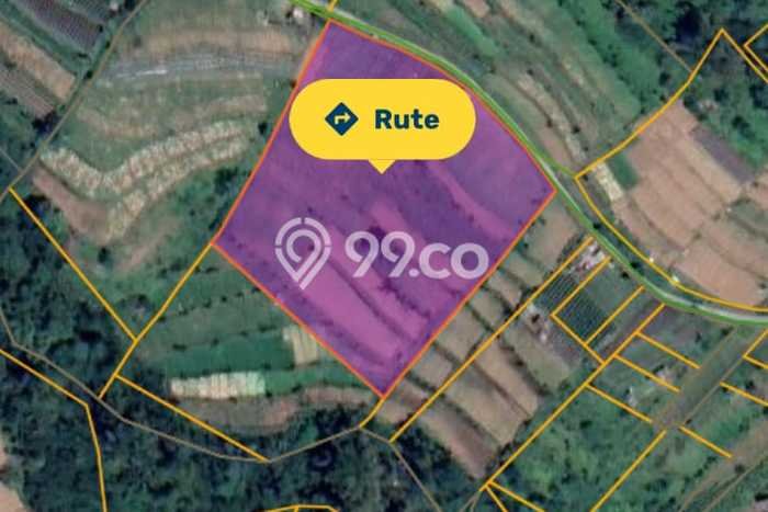 Tanah di Baturiti, Luas 30000m², Lokasi Premium Tanah di Baturiti, Luas 30000m², Lokasi Premium