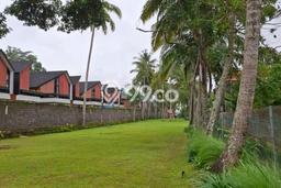 Tanah Dijual Lokasi Ubud, Gianyar dengan Luas Tanah 3100m2 dan Status SHM Tanah Dijual Lokasi Ubud, Gianyar dengan Luas Tanah 3100m2 dan Status SHM