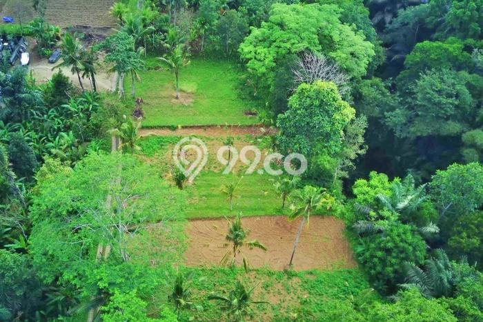 Tanah Dijual Lokasi Payangan, Gianyar Luas 1000m2 Legalitas Aman Tanah Dijual Lokasi Payangan, Gianyar Luas 1000m2 Legalitas Aman