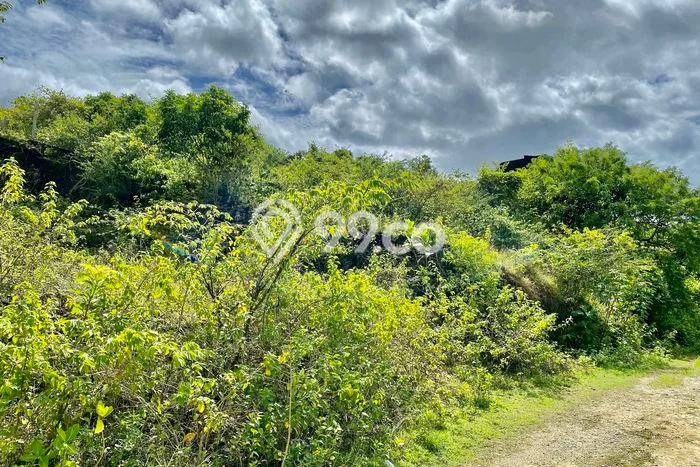 Kavling Tanah untuk Dijual di Mambal, Badung, Luas 200m2 Kavling Tanah untuk Dijual di Mambal, Badung, Luas 200m2