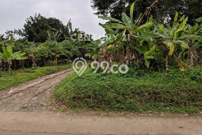 Kavling Tanah untuk Dijual di Cimahpar, Bogor, Luas 1910m2 Kavling Tanah untuk Dijual di Cimahpar, Bogor, Luas 1910m2