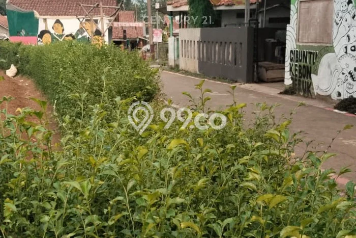 Tanah Strategis Dijual di Ciampea Bogor 8610m2 Tanah Strategis Dijual di Ciampea Bogor 8610m2