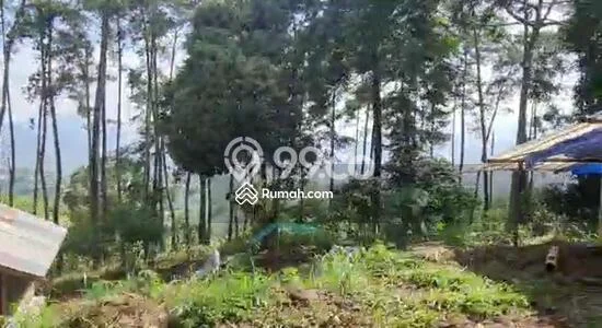 Untuk Dijual Tanah 800000m2 di Cianjur Kota, Cianjur Untuk Dijual Tanah 800000m2 di Cianjur Kota, Cianjur