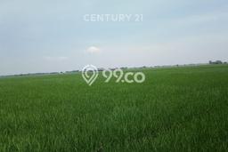 Tanah Dijual Lokasi Pebayuran, Bekasi Luas 19258m2 Legalitas Aman Tanah Dijual Lokasi Pebayuran, Bekasi Luas 19258m2 Legalitas Aman