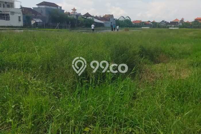 Tanah Dijual Lokasi Denpasar Barat, Denpasar dengan Luas Tanah 100m2 dan Status SHM Tanah Dijual Lokasi Denpasar Barat, Denpasar dengan Luas Tanah 100m2 dan Status SHM