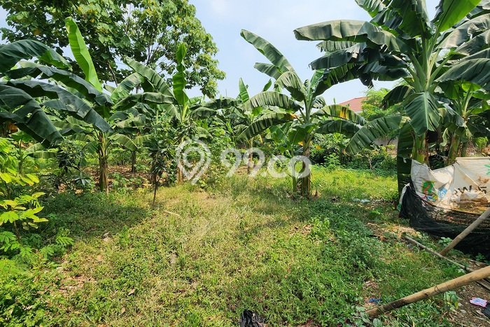 Dijual Tanah Lokasi Jaka Sampurna, Bekasi Seluas 1000m2 Dijual Tanah Lokasi Jaka Sampurna, Bekasi Seluas 1000m2