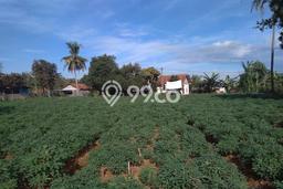 Untuk Dijual Tanah di Bogor, Luas 9198m2 SHM Untuk Dijual Tanah di Bogor, Luas 9198m2 SHM