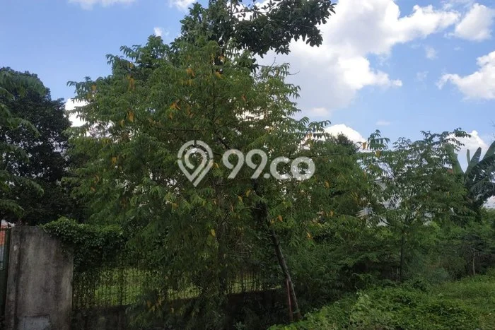 Tanah Dijual di Jakarta Selatan Seluas 1559m2 Strategis Tanah Dijual di Jakarta Selatan Seluas 1559m2 Strategis