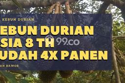 Tanah Kavling di Karanganyar Dijual dengan Luas 2000m2 Tanah Kavling di Karanganyar Dijual dengan Luas 2000m2