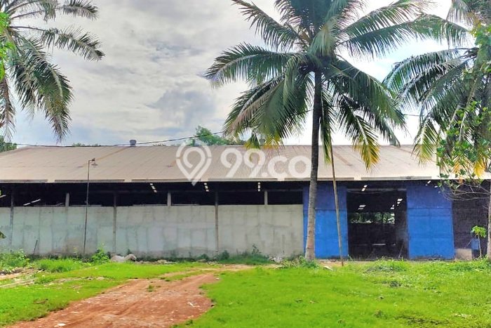 Gudang Dijual Lokasi Emas di Gunung Sindur Luas 4200m2 Gudang Dijual Lokasi Emas di Gunung Sindur Luas 4200m2