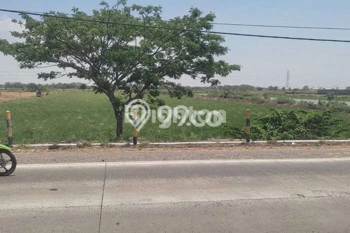 Tanah Kavling untuk Dijual di Cerme Gresik 17000m2 Tanah Kavling untuk Dijual di Cerme Gresik 17000m2