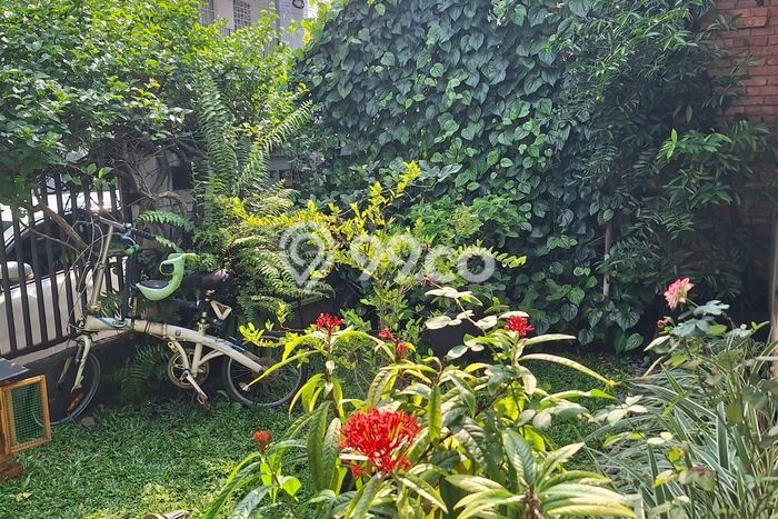 Siap Huni Rumah Mewah 3 Kamar di Cempaka Putih Dekat ke Mana Pun Siap Huni Rumah Mewah 3 Kamar di Cempaka Putih Dekat ke Mana Pun