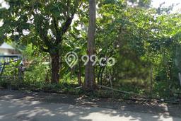 Tanah Investasi Dijual di Demak Punya Luas 1051m2 Tanah Investasi Dijual di Demak Punya Luas 1051m2