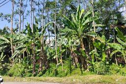 Lahan Strategis di Gajah Mungkur Dijual dengan Luas 715m2 Lahan Strategis di Gajah Mungkur Dijual dengan Luas 715m2
