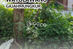 Lahan Dijual Lokasi Gajah Mungkur, Semarang dengan Luas Tanah 700m2 dan Status - Lahan Dijual Lokasi Gajah Mungkur, Semarang dengan Luas Tanah 700m2 dan Status -