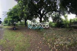 Tanah untuk Dijual di Bogor Selatan Bogor Luas 13979m2 Tanah untuk Dijual di Bogor Selatan Bogor Luas 13979m2