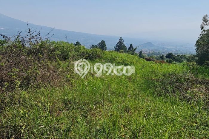 Tanah untuk Dijual di Batu Batu Luas 949m2 Tanah untuk Dijual di Batu Batu Luas 949m2