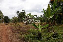 Tanah Dijual Lokasi Jonggol, Bogor Luas 60000m2 Legalitas Aman Tanah Dijual Lokasi Jonggol, Bogor Luas 60000m2 Legalitas Aman