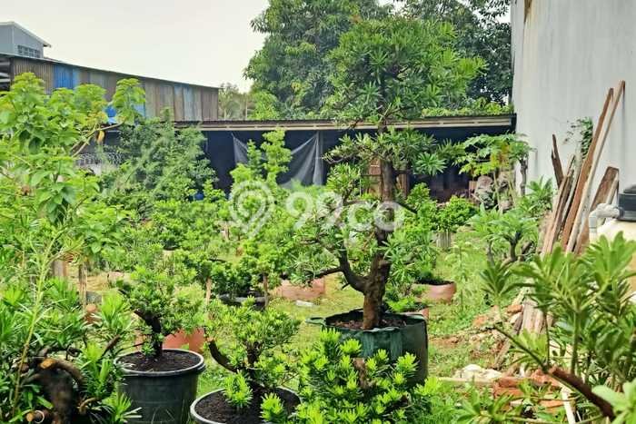 Tanah Dijual Lokasi Cakung, Jakarta Timur Luas 324m2 Legalitas Aman Tanah Dijual Lokasi Cakung, Jakarta Timur Luas 324m2 Legalitas Aman