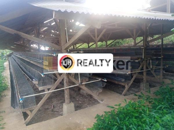 Tanah Area Berkembang di Nagrak, Luas 35000m², Dekat ke Fasilitas Umum, Dekat Nagrak, Sukabumi, Sukabumi Tanah Area Berkembang di Nagrak, Luas 35000m², Dekat ke Fasilitas Umum, Dekat Nagrak, Sukabumi, Sukabumi