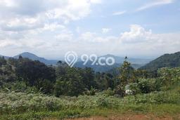 Untuk Dijual Tanah di Bogor, Luas 170000m2 SHM Untuk Dijual Tanah di Bogor, Luas 170000m2 SHM