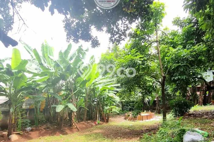 Tanah Kavling Dijual di Jakarta Selatan dengan Spesifikasi 847m2 Tanah Kavling Dijual di Jakarta Selatan dengan Spesifikasi 847m2