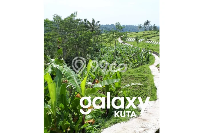 Lahan Investasi Lokasi Payangan Gianyar SHM Lahan Investasi Lokasi Payangan Gianyar SHM